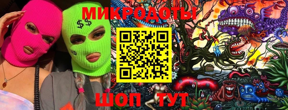 Псилоцибиновые грибы Psilocybe  Вход с VPN  Сосновоборск 